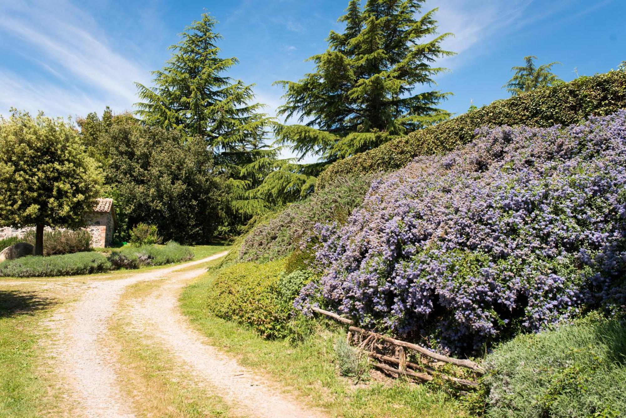 Agri Relais Il Poderaccio Di Bolsena Zewnętrze zdjęcie