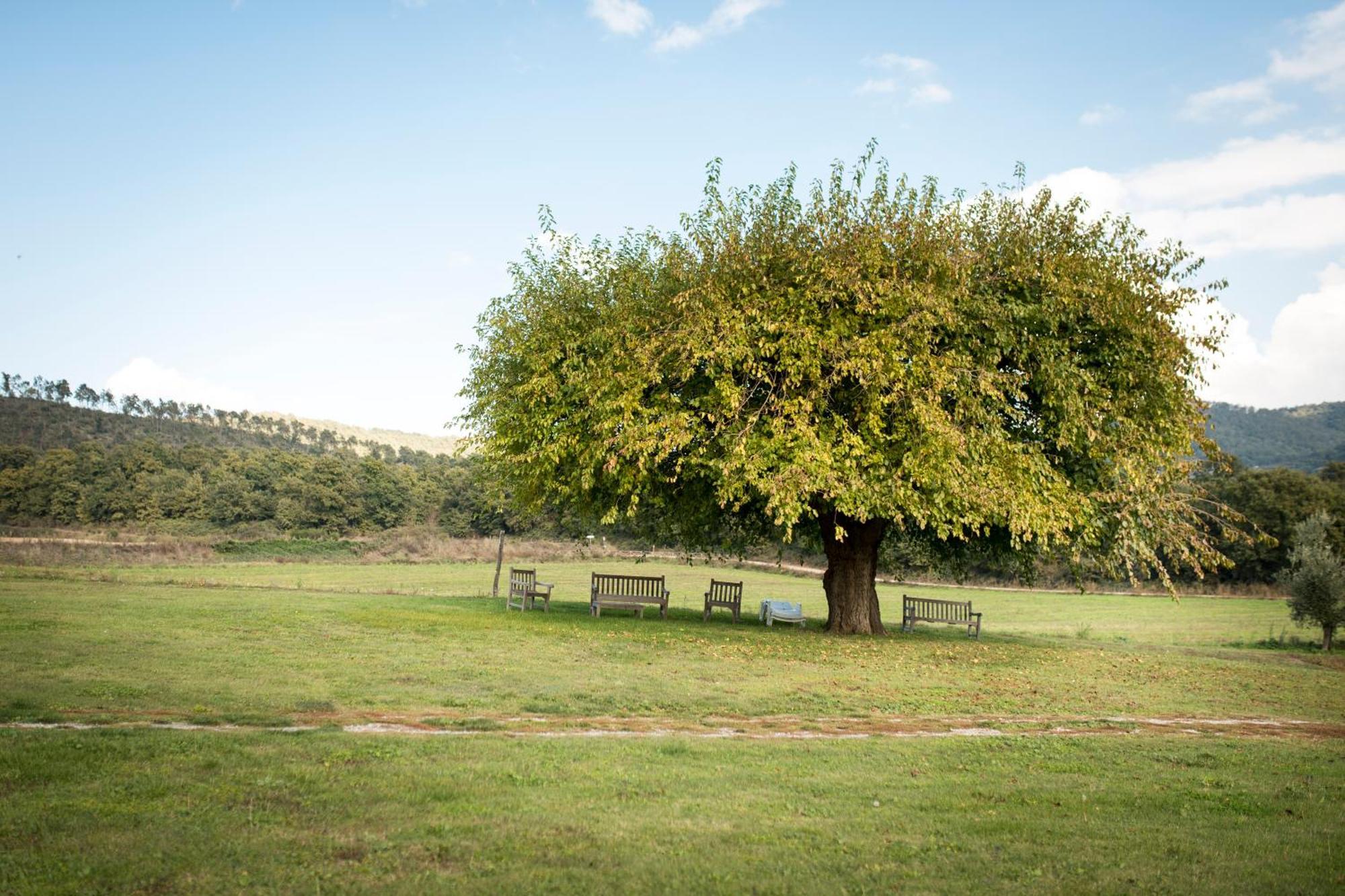 Agri Relais Il Poderaccio Di Bolsena Zewnętrze zdjęcie
