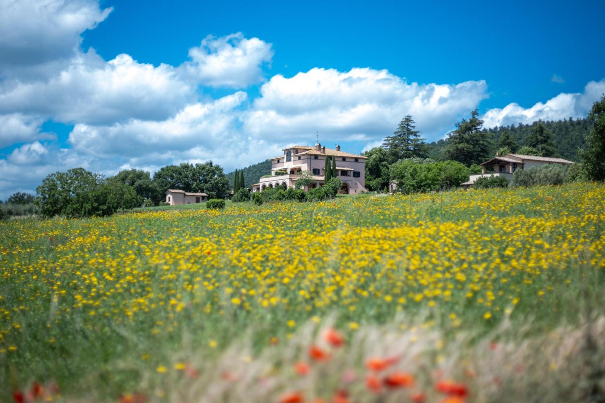 Agri Relais Il Poderaccio Di Bolsena Zewnętrze zdjęcie