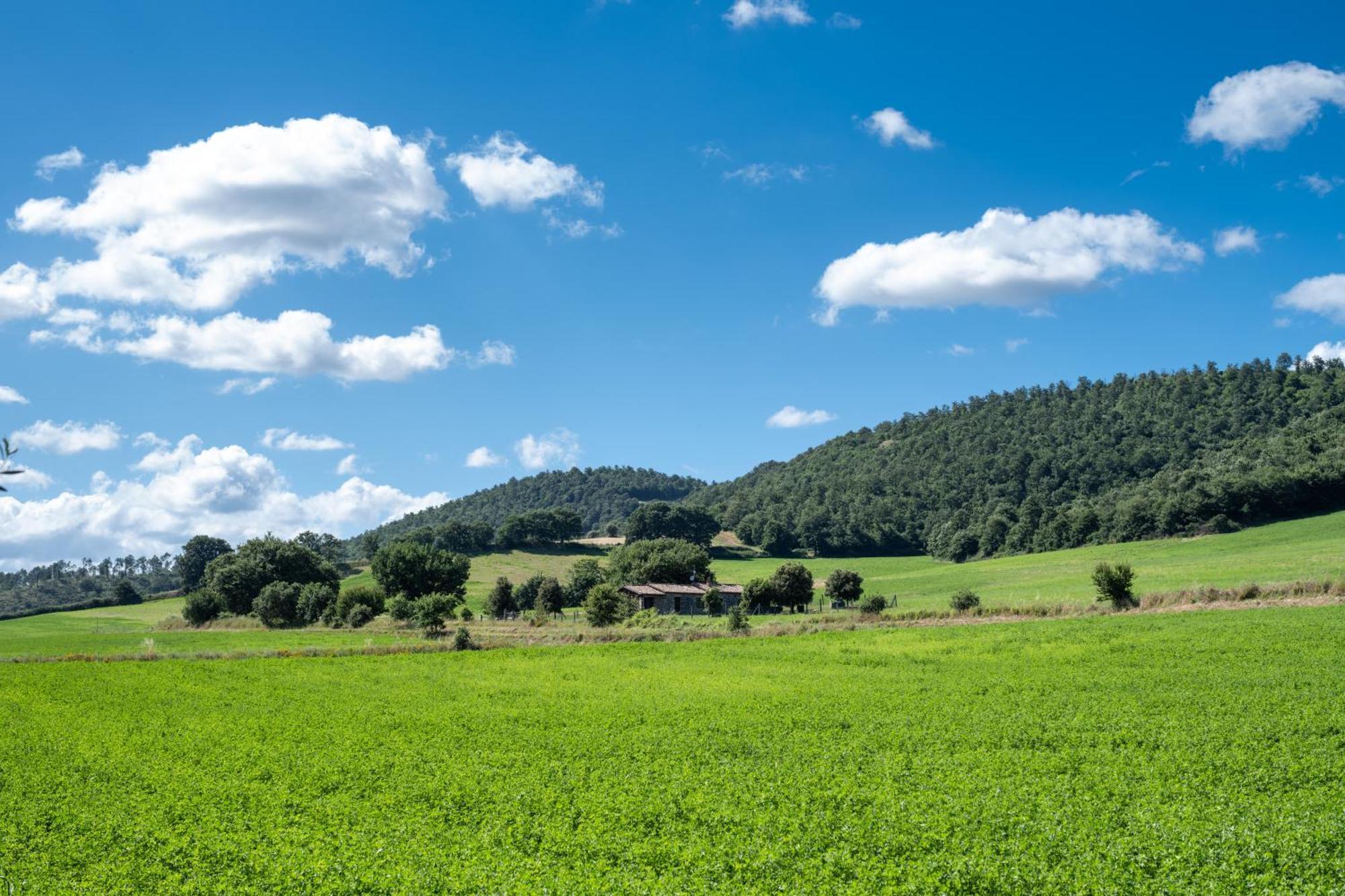 Agri Relais Il Poderaccio Di Bolsena Zewnętrze zdjęcie