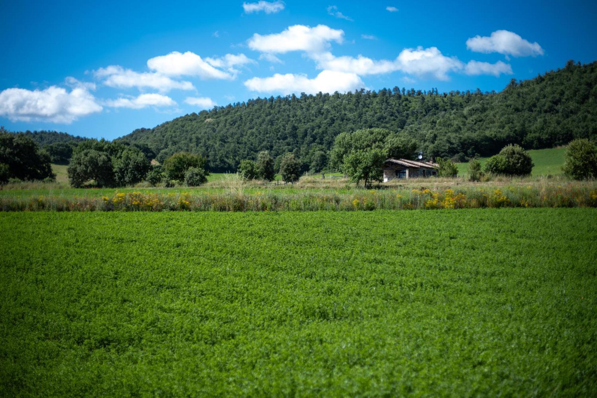 Agri Relais Il Poderaccio Di Bolsena Zewnętrze zdjęcie