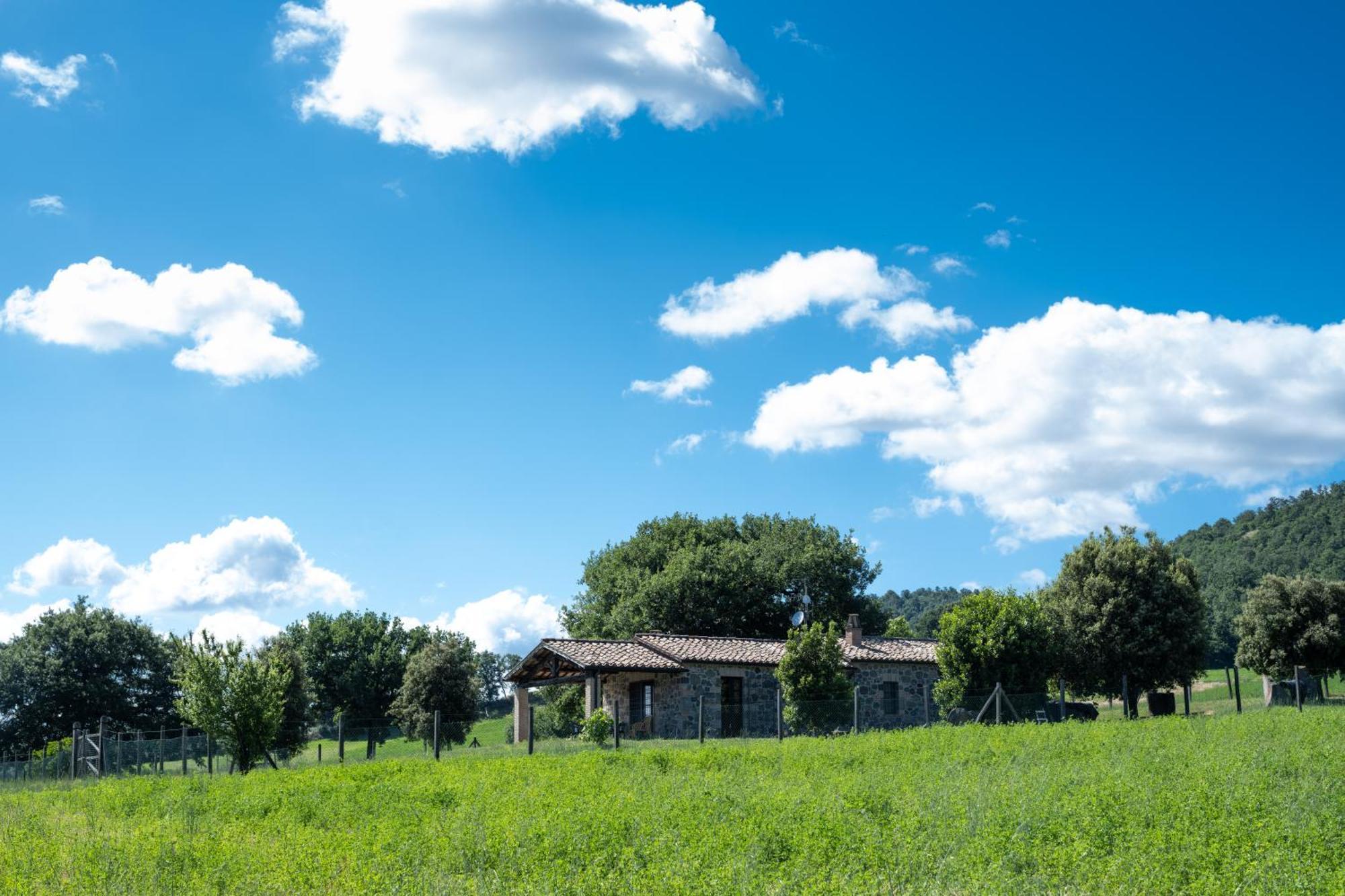 Agri Relais Il Poderaccio Di Bolsena Zewnętrze zdjęcie
