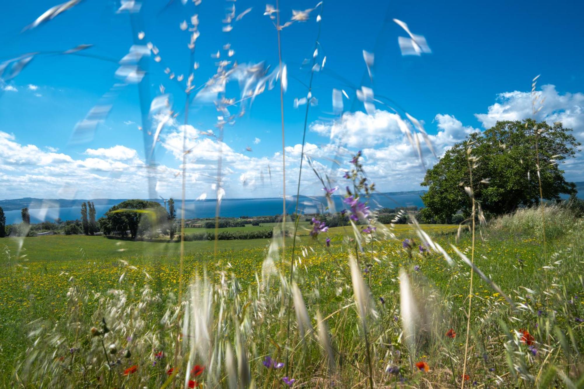 Agri Relais Il Poderaccio Di Bolsena Zewnętrze zdjęcie
