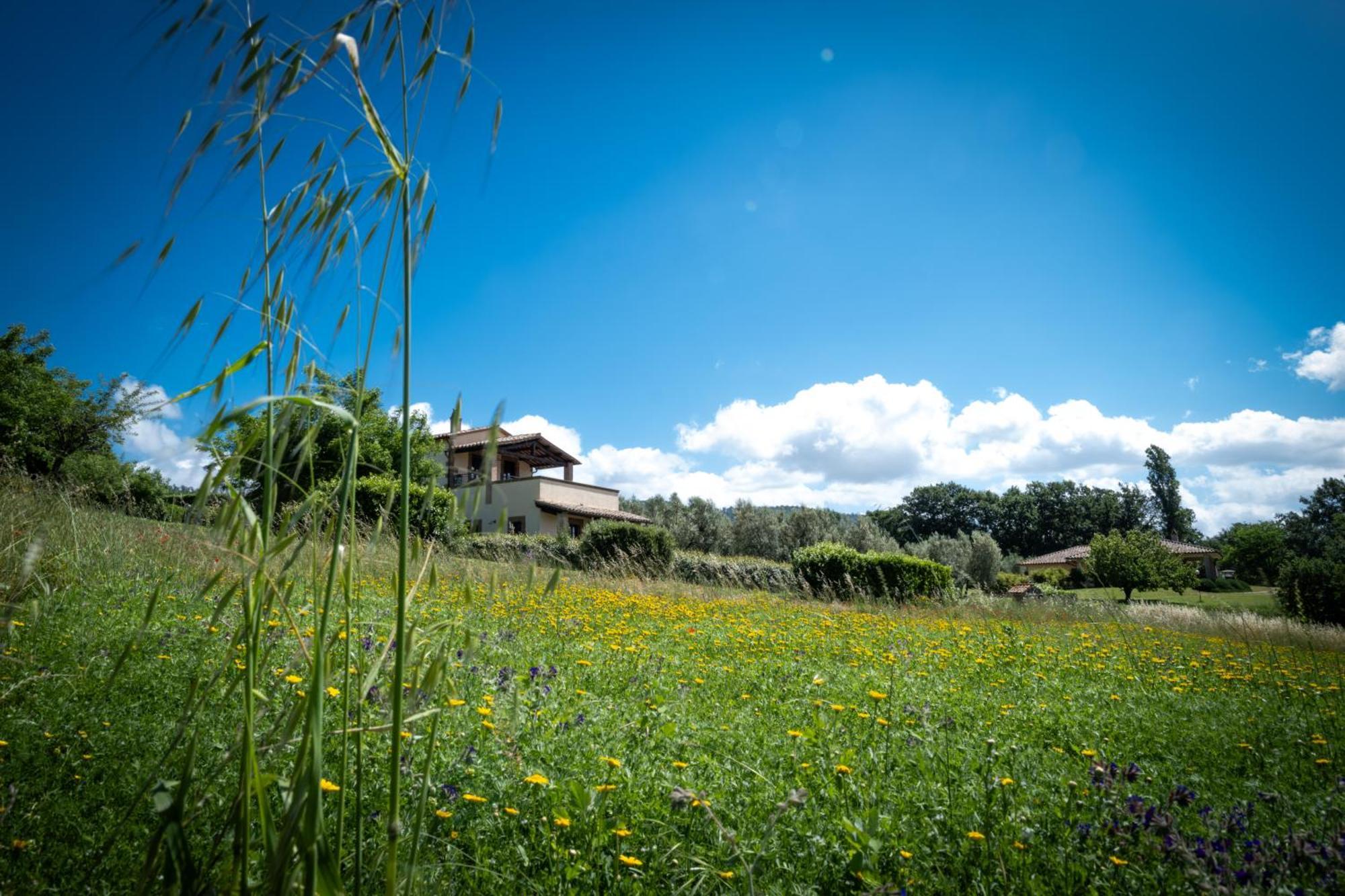 Agri Relais Il Poderaccio Di Bolsena Zewnętrze zdjęcie