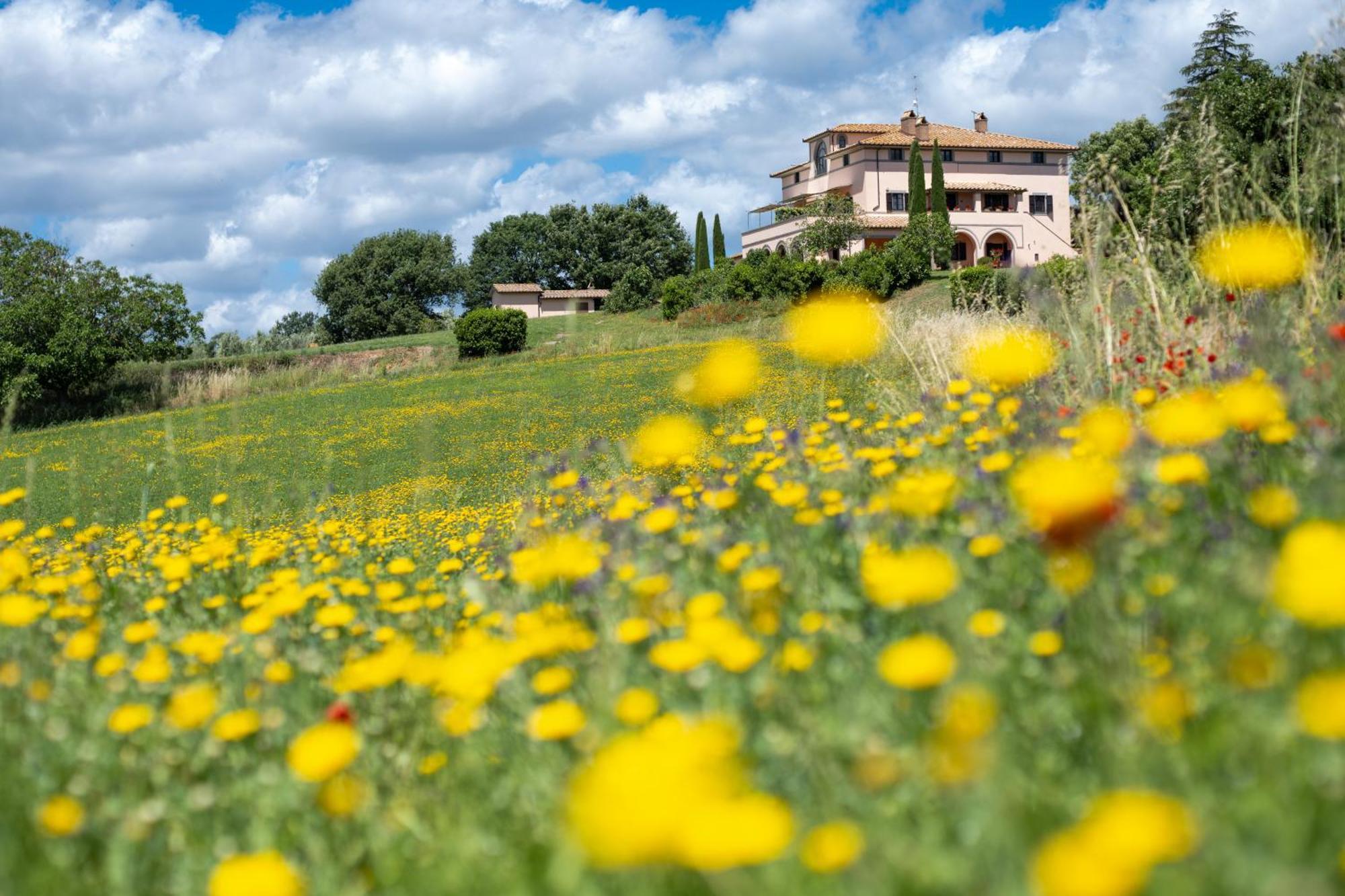 Agri Relais Il Poderaccio Di Bolsena Zewnętrze zdjęcie