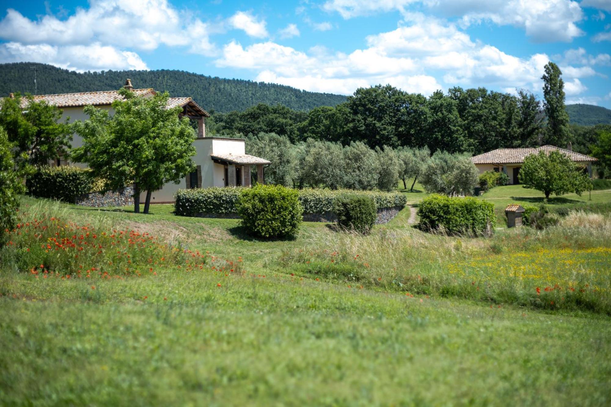 Agri Relais Il Poderaccio Di Bolsena Zewnętrze zdjęcie
